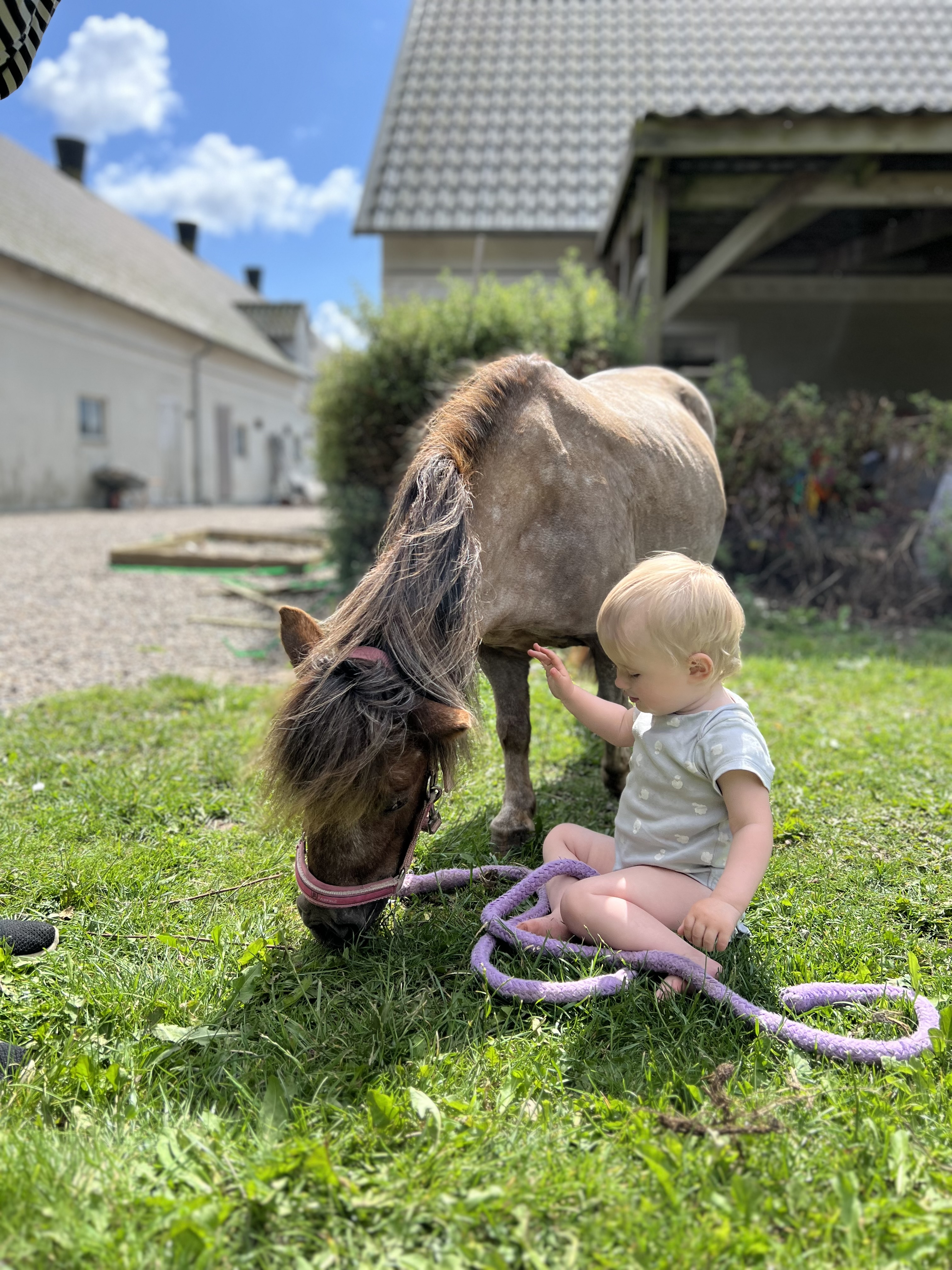 Fællesskabet · Grønlundsminde